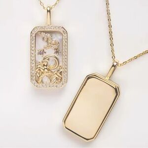 New Capricorn necklace ♑️